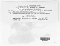 Image Associated With the Occurence